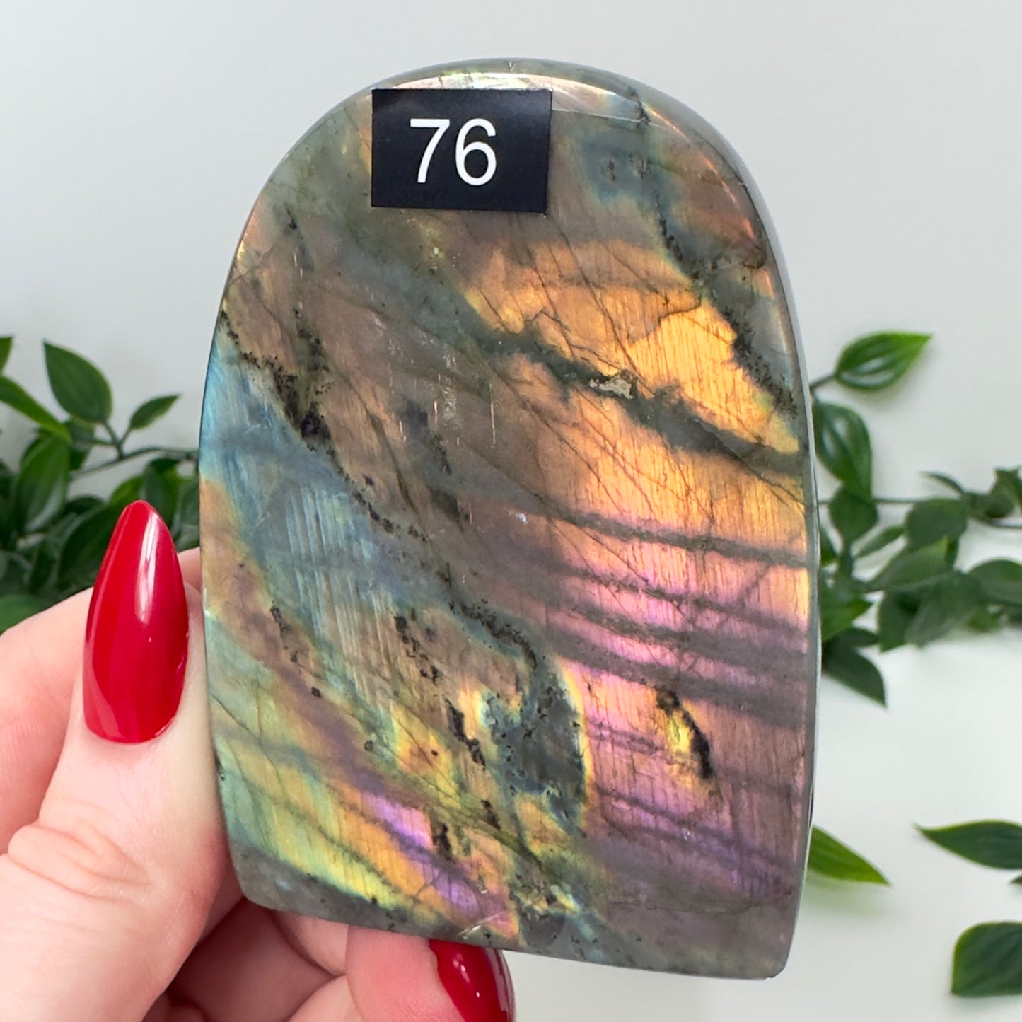 High Quality Labradorite Freeform #76