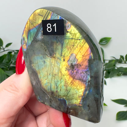 High Quality Labradorite Freeform #81