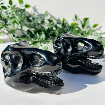 Obsidian T-Rex Skull