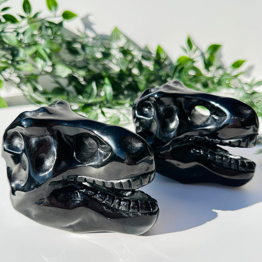 Obsidian T-Rex Skull