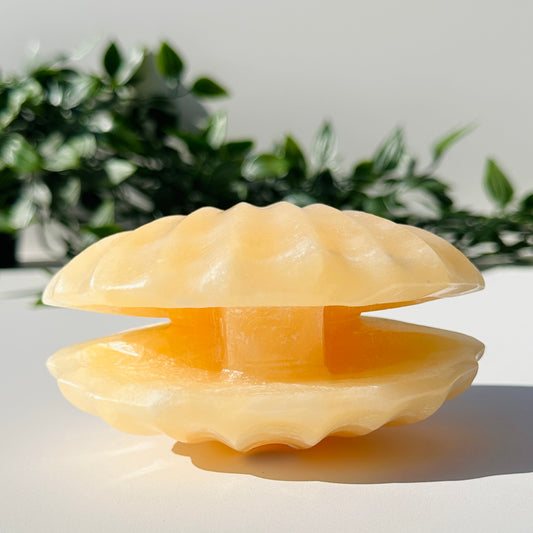 Orange Calcite Clam CL1