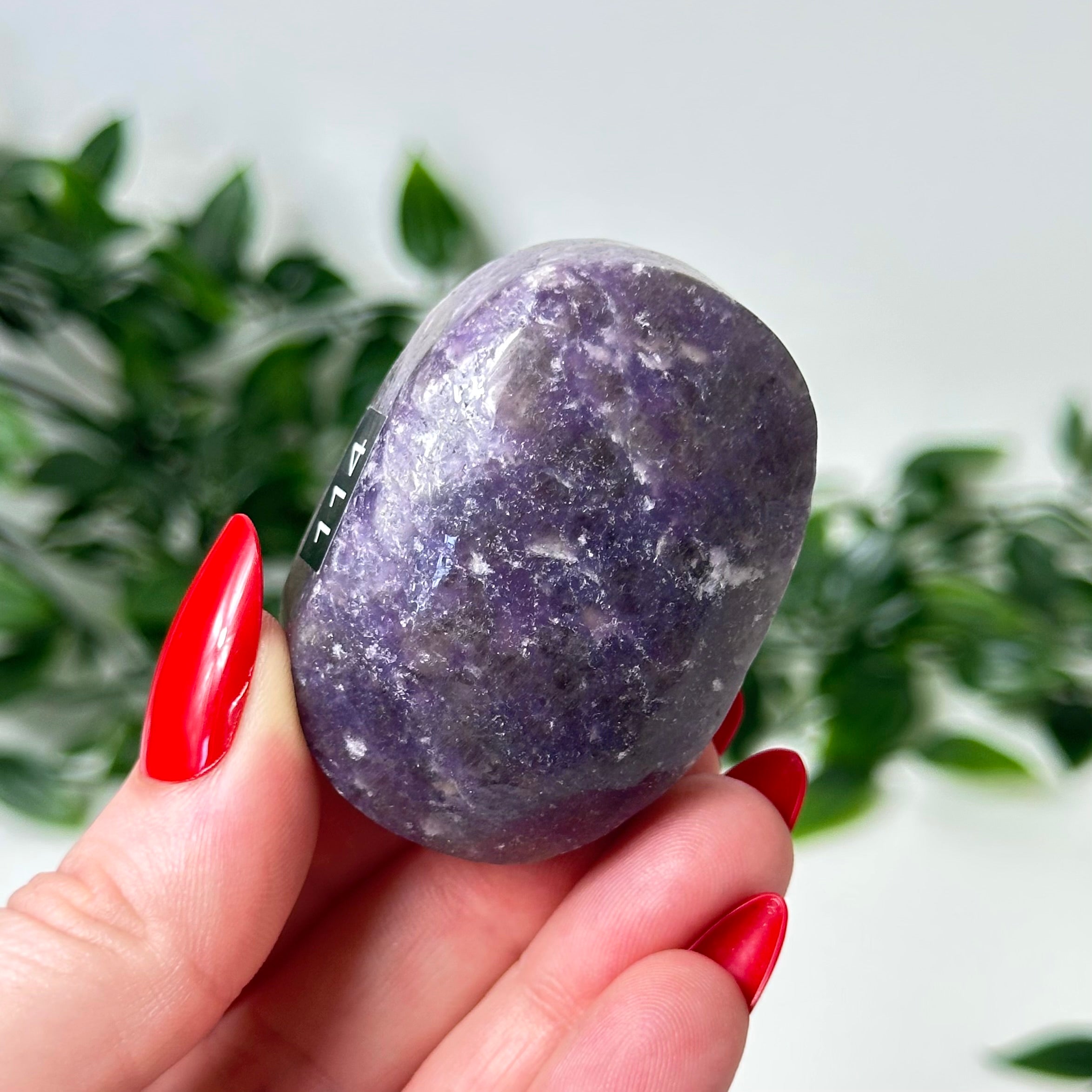Lepidolite Palm Stone #114