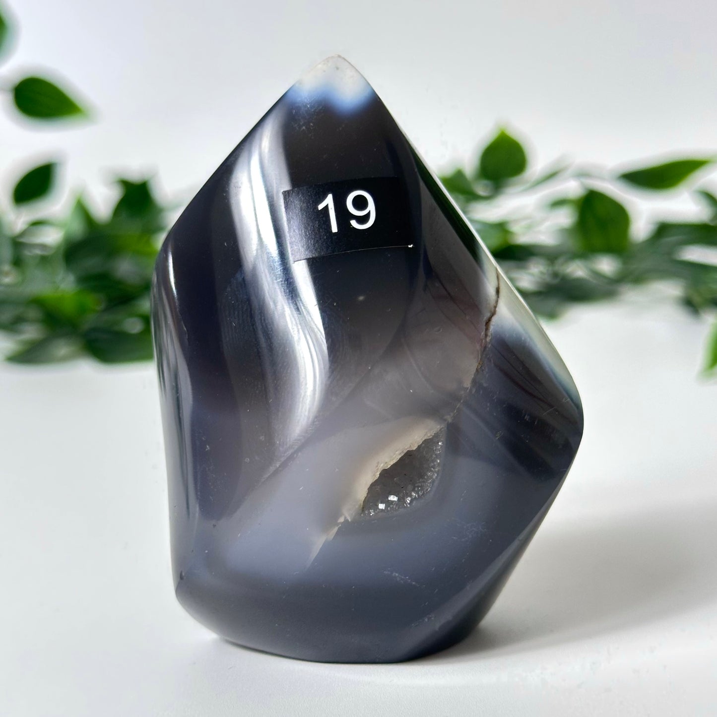 Orca Agate Flame #19