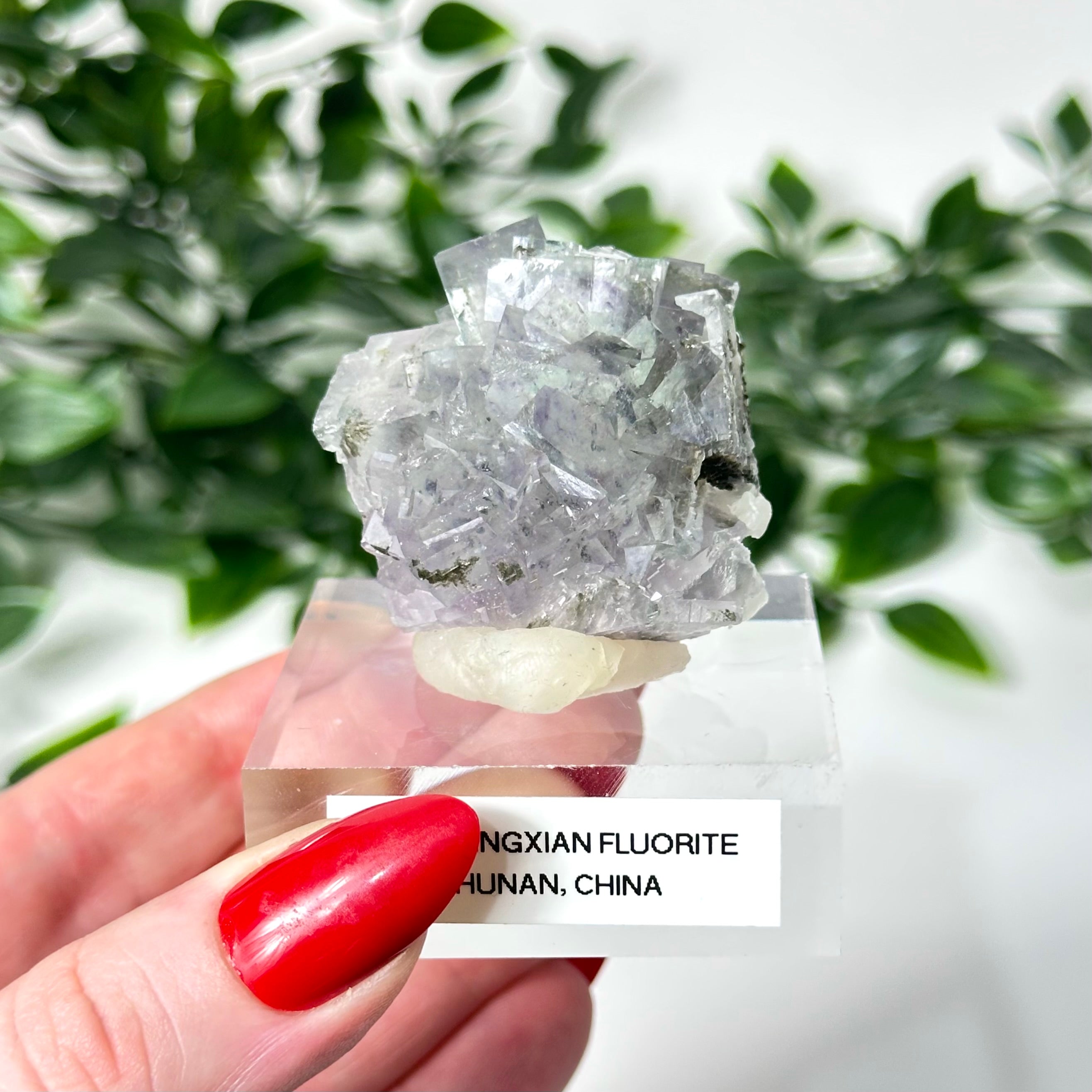 Fluorite crystal specimen held by a hand  labeled 'Yaogangxian Fluorite, Hunan, China' 