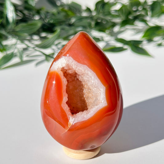 Carnelian Druzy Egg C5