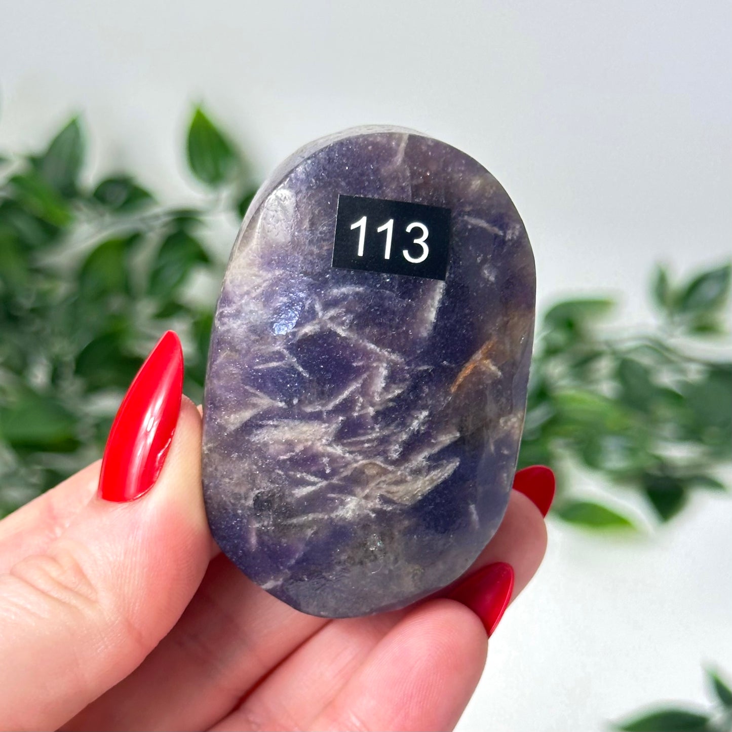 Lepidolite Palm Stone #113