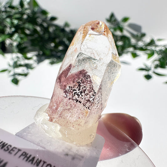 Sunset Phantom Quartz Point #8
