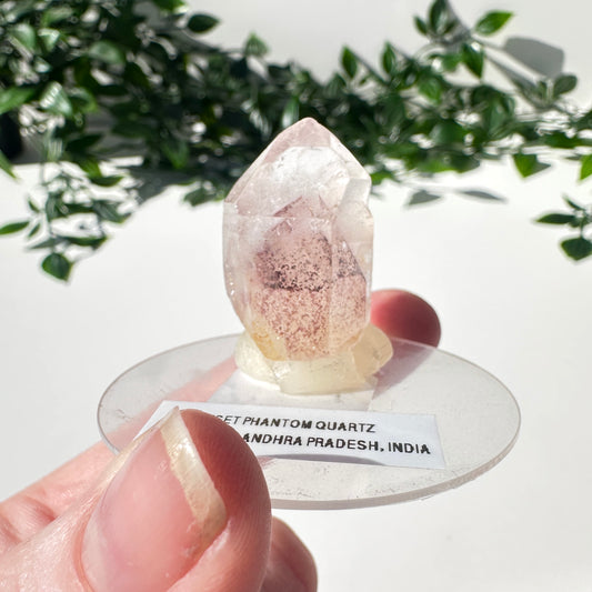 Sunset Phantom Quartz Point #22