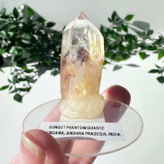 Sunset Phantom Quartz Point #16