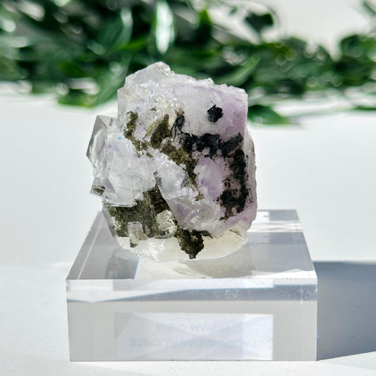 Fluorite - Yaogangxian Mine Y1