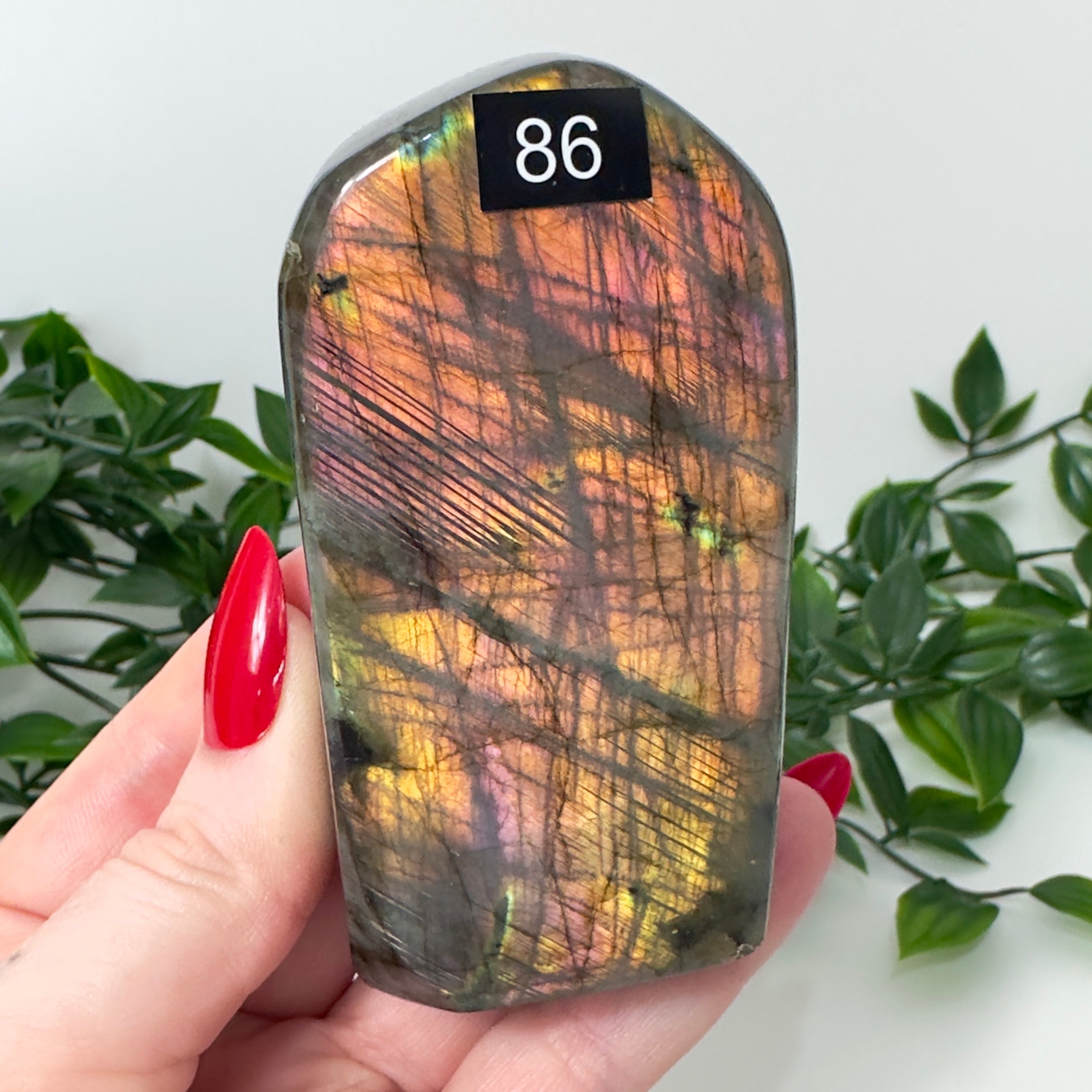 High Quality Labradorite Freeform #86