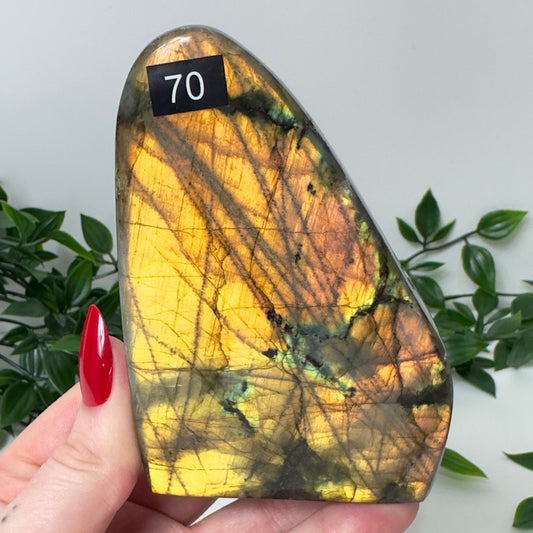 High Quality Labradorite Freeform #70