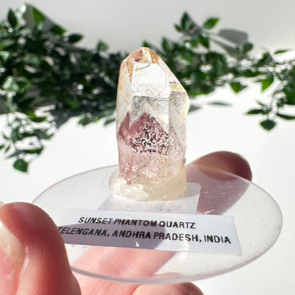 Sunset Phantom Quartz Point #8