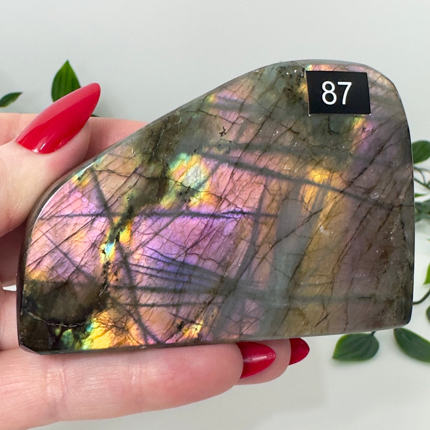 High Quality Labradorite Freeform #87