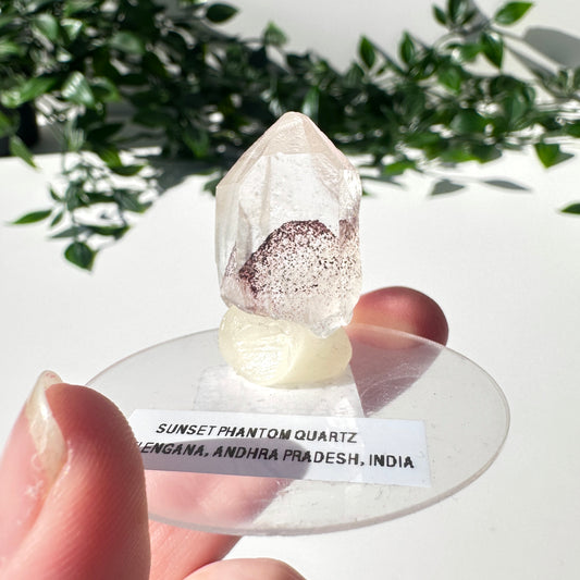 Sunset Phantom Quartz Point #9