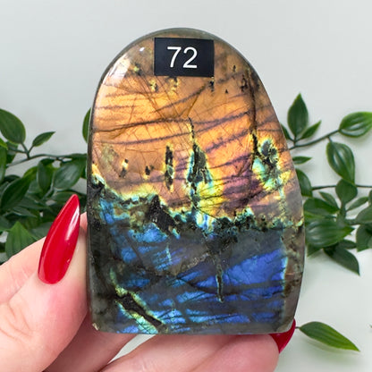 High Quality Labradorite Freeform #72