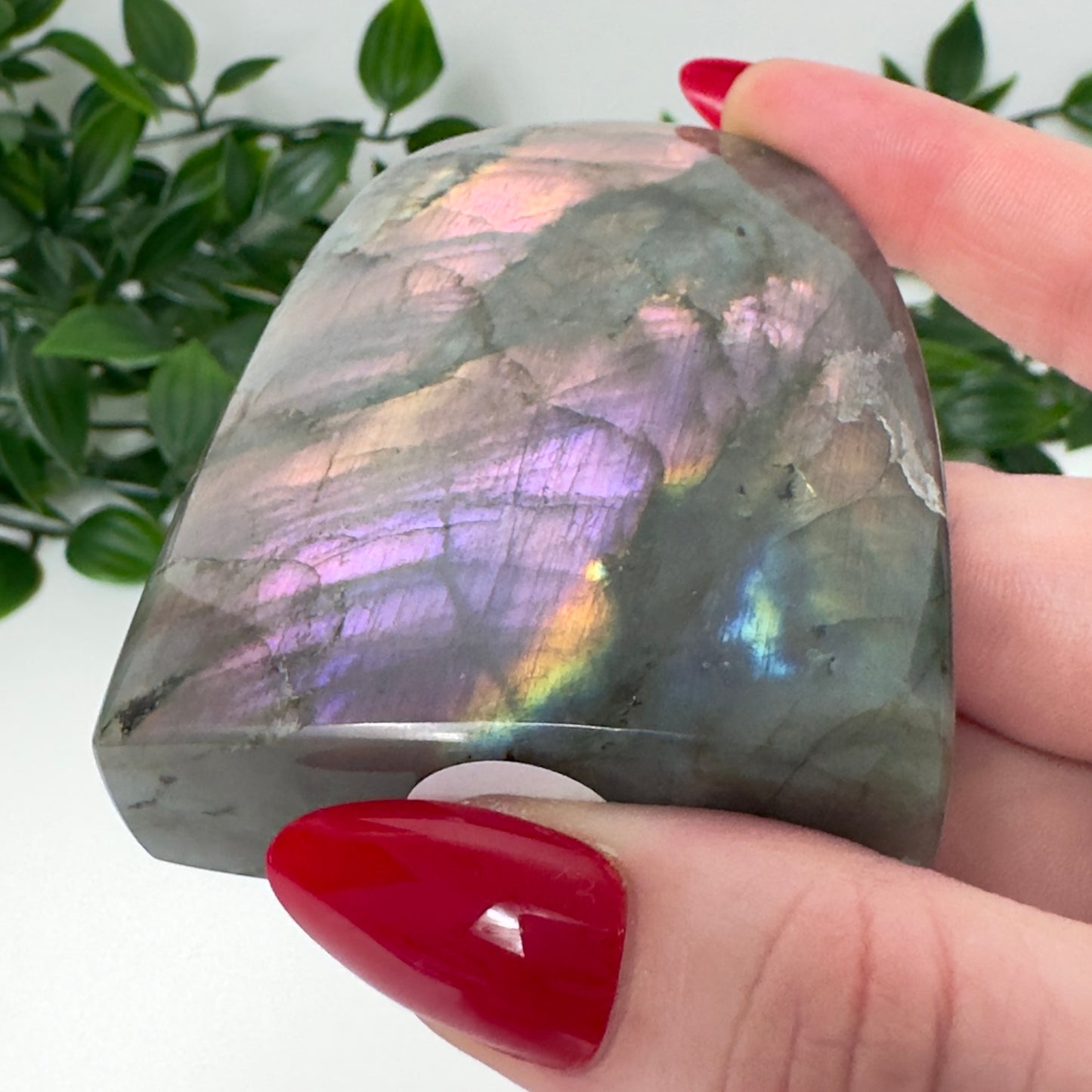 High Quality Labradorite Freeform #76