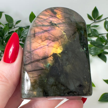 High Quality Labradorite Freeform #91