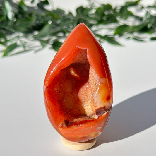 Carnelian Druzy Egg C1