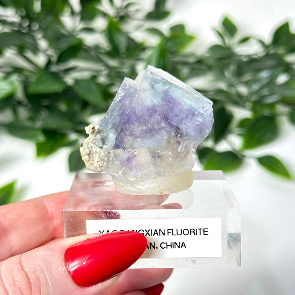 Purple and blue Yaogangxian fluorite crystal held by a hand