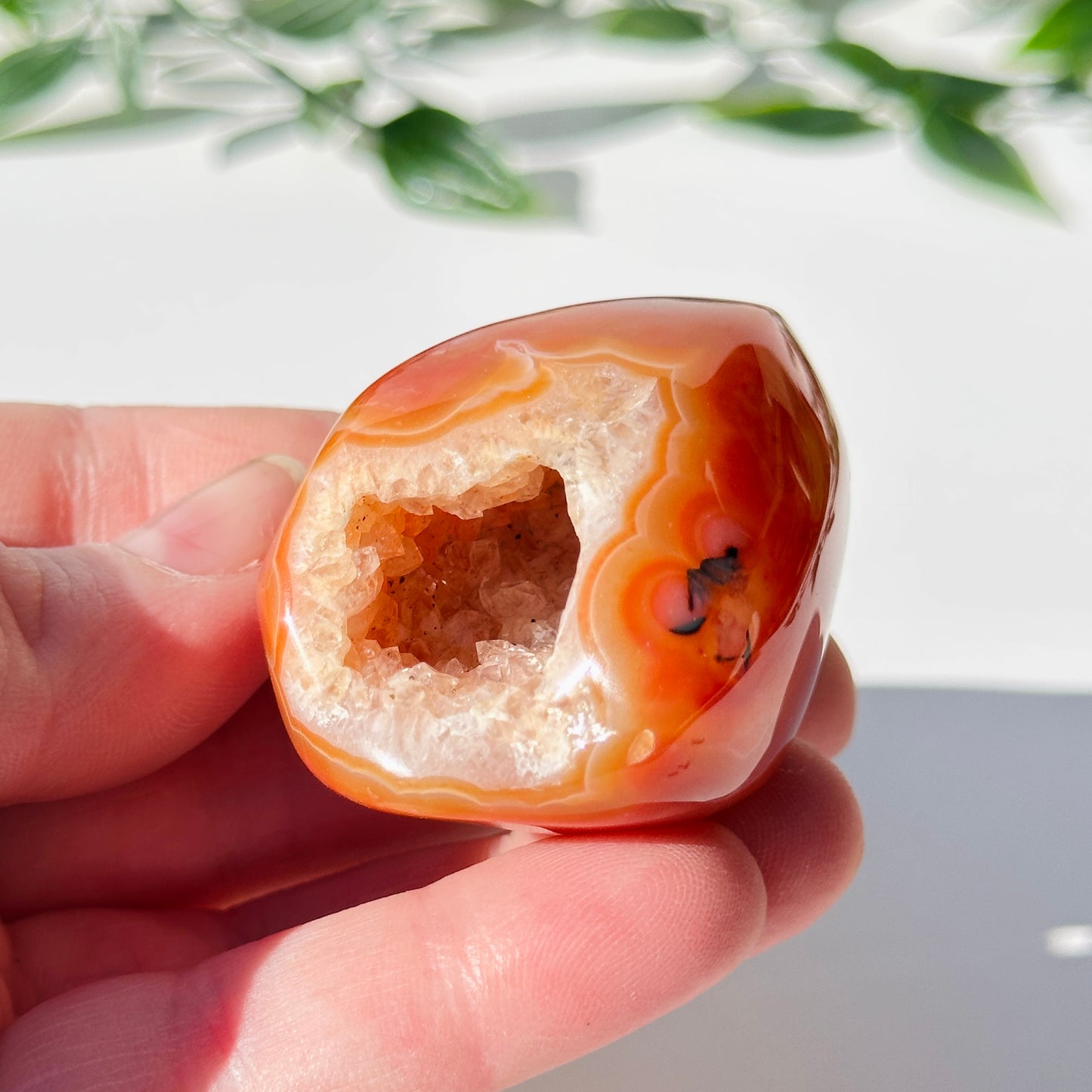 Carnelian Druzy Egg C7
