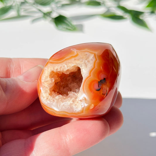 Carnelian Druzy Egg C7
