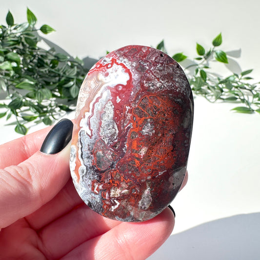 Mexican Agate Palm Stone J