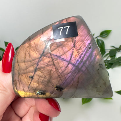 High Quality Labradorite Freeform #77