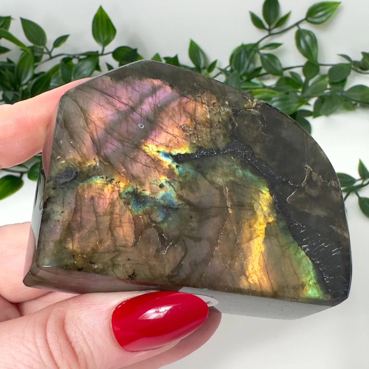High Quality Labradorite Freeform #80