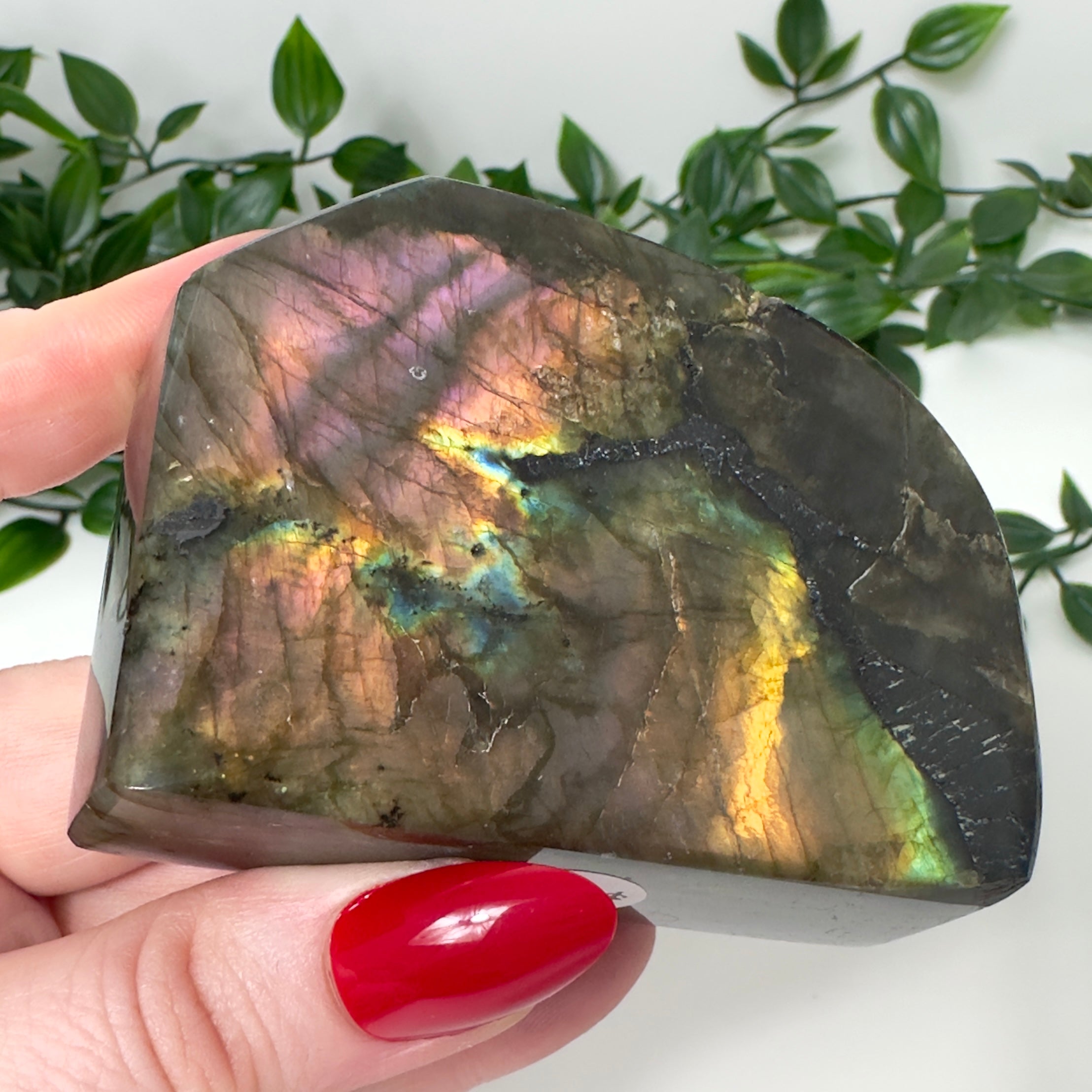High Quality Labradorite Freeform #80