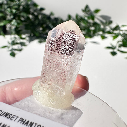 Sunset Phantom Quartz Point #6