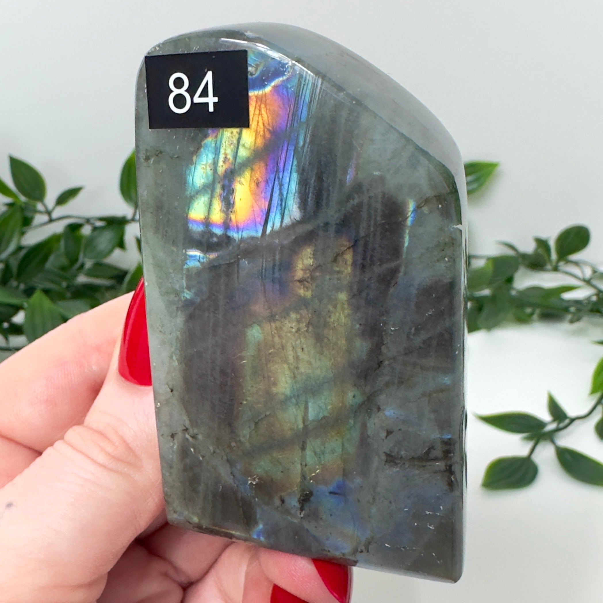 High Quality Labradorite Freeform #84