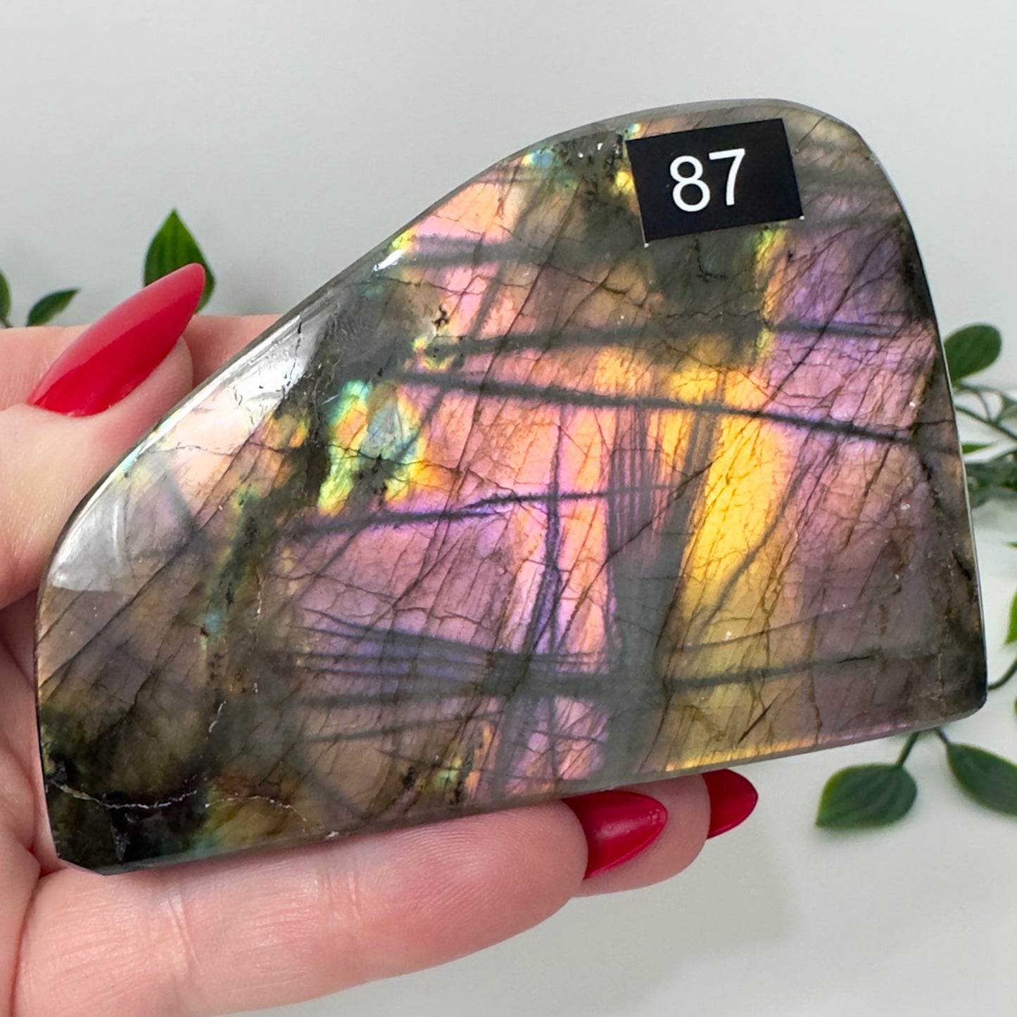 High Quality Labradorite Freeform #87