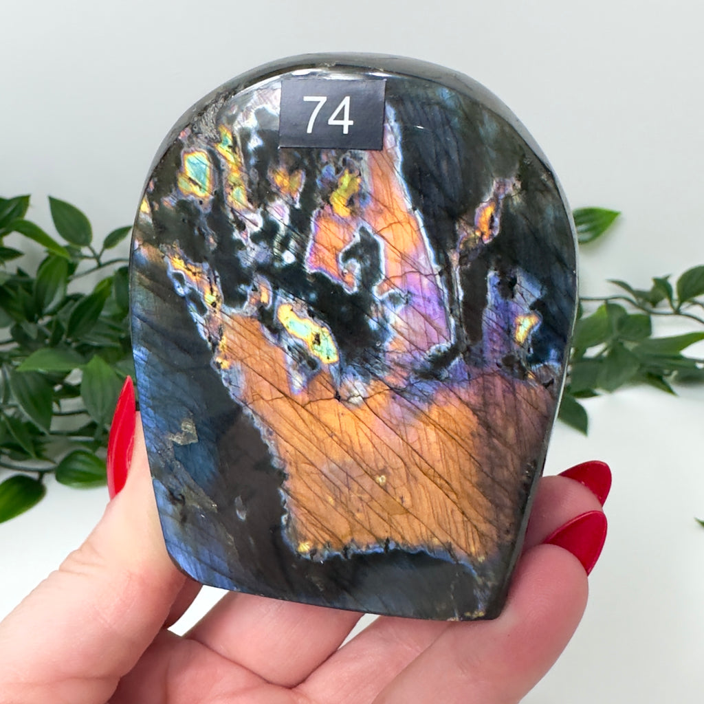 High Quality Labradorite Freeform #74