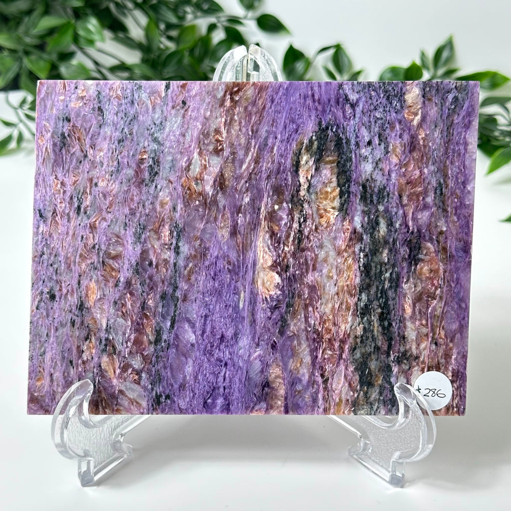 Charoite Slab with Stand #50