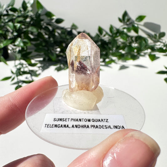 Sunset Phantom Quartz Point #20