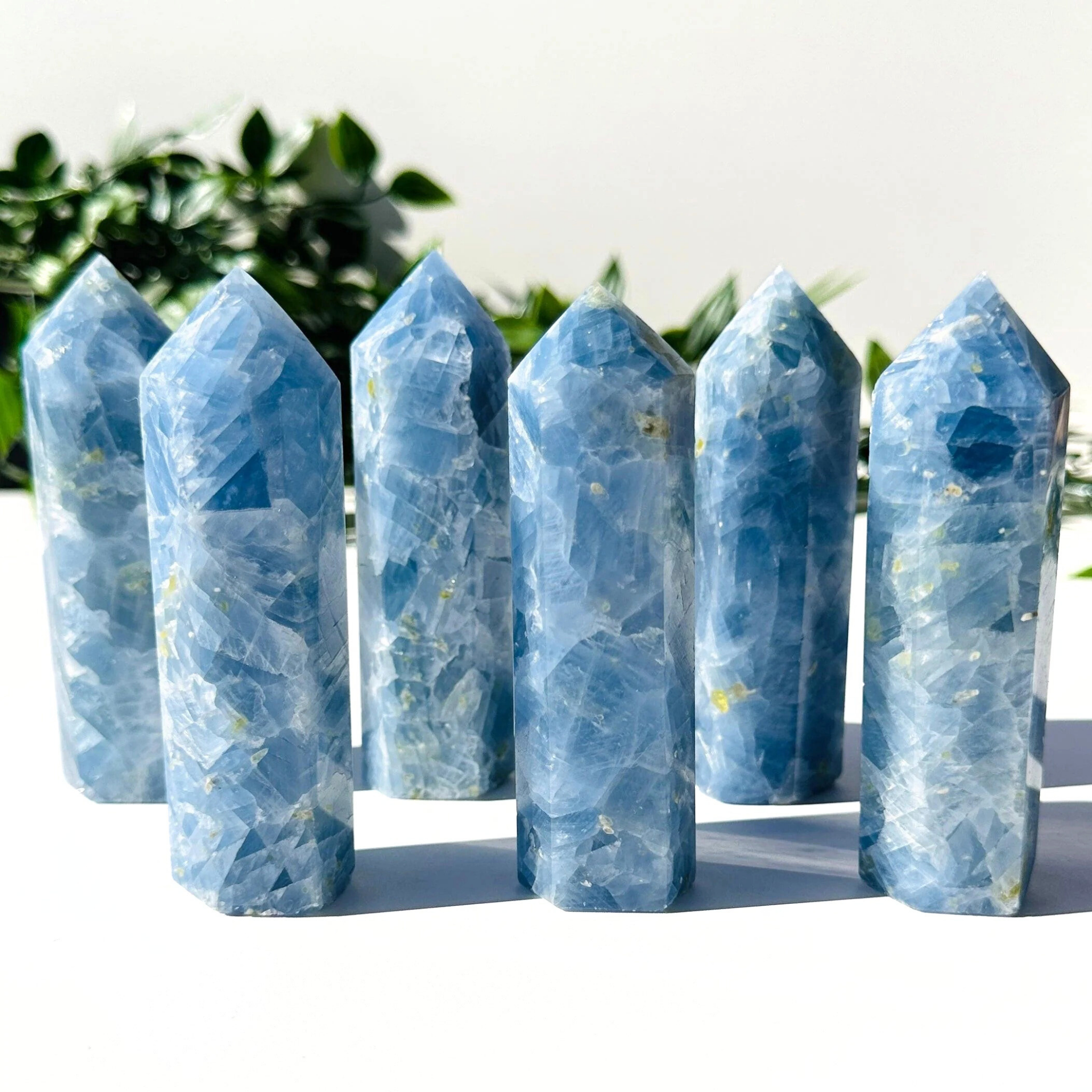 6 blue calcite crystal towers in front of a white and leafy background