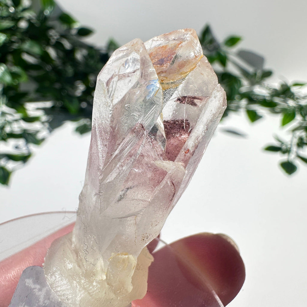 Sunset Phantom Quartz Point #15