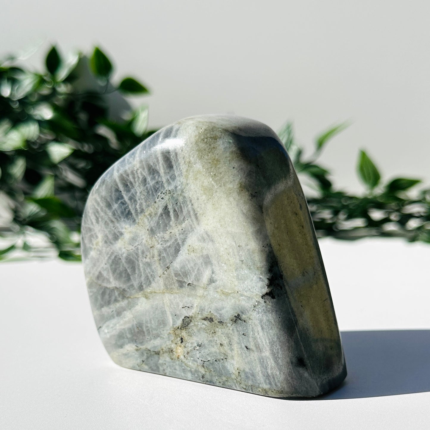 Purple Labradorite Freeform #54
