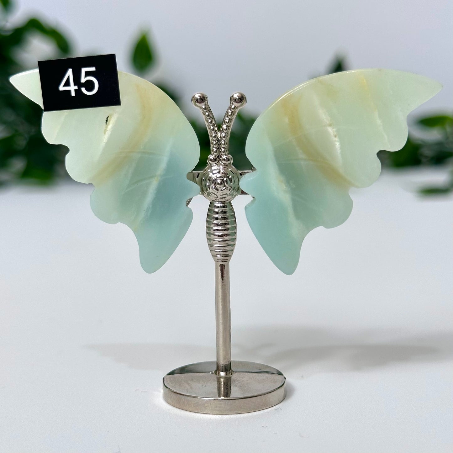 Caribbean Calcite Mini Butterfly Wings #45
