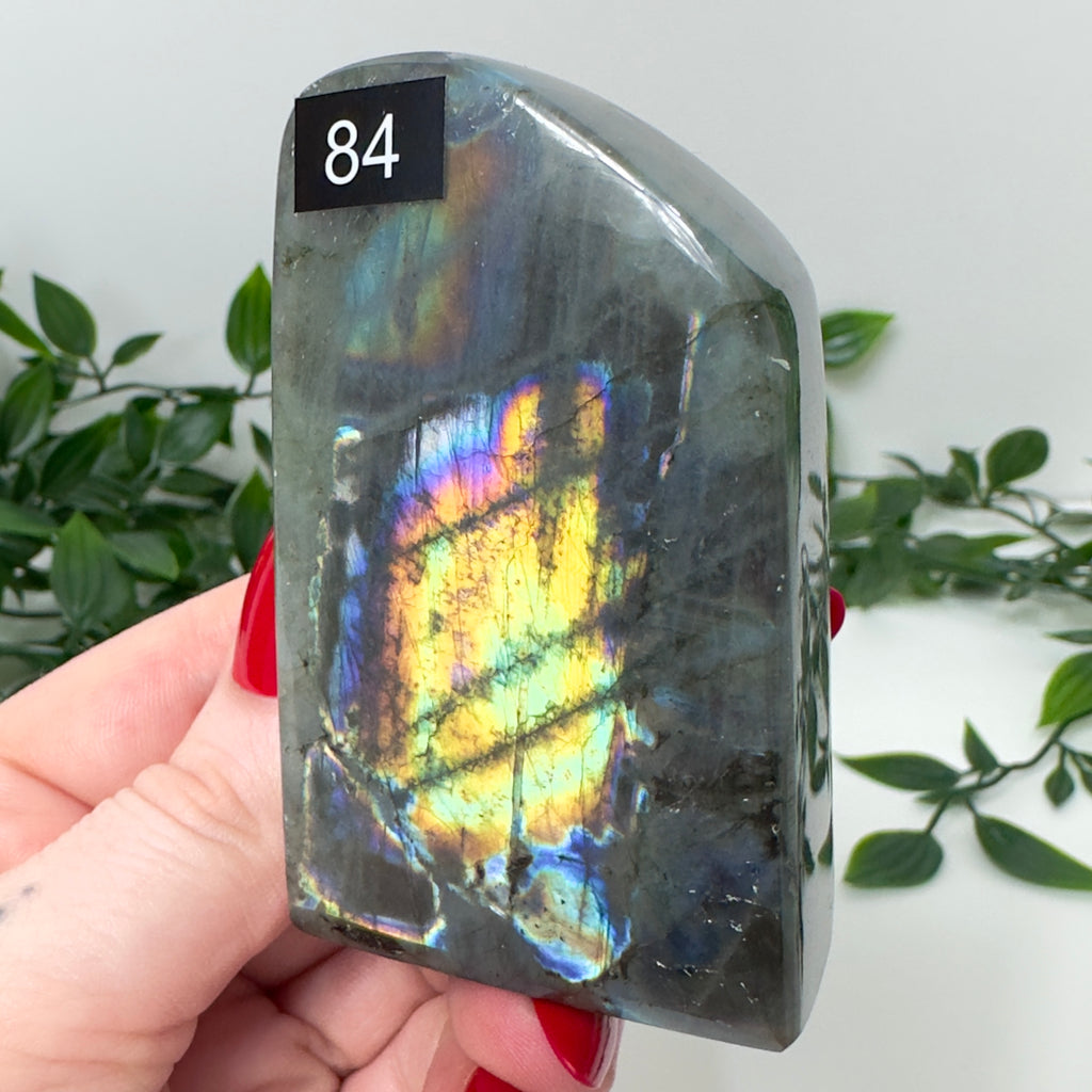 High Quality Labradorite Freeform #84