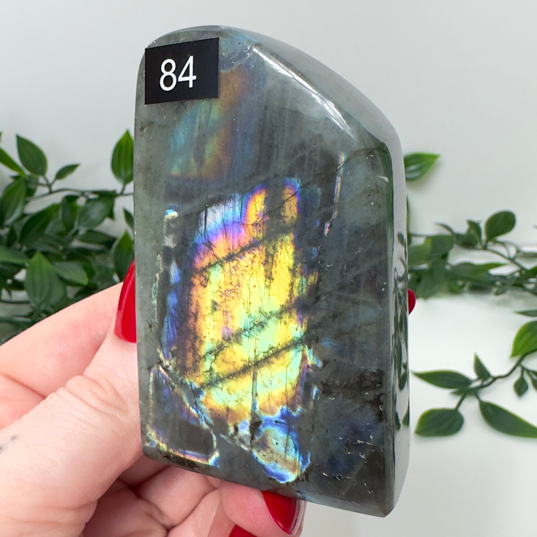 High Quality Labradorite Freeform #84