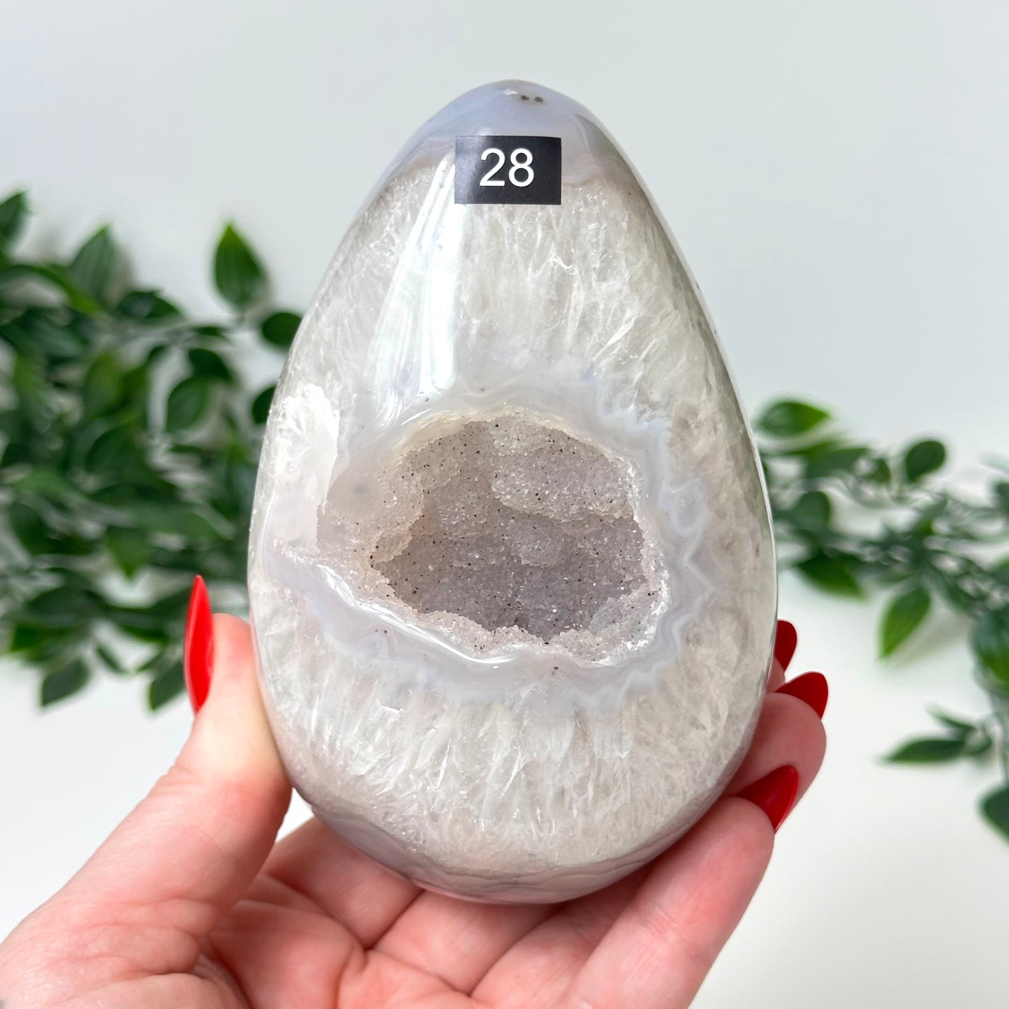 Druzy Agate Egg with Stand #28