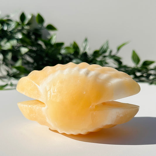 Orange Calcite Clam CL1