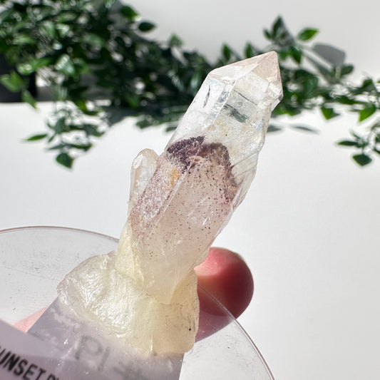 Sunset Phantom Quartz Point #19