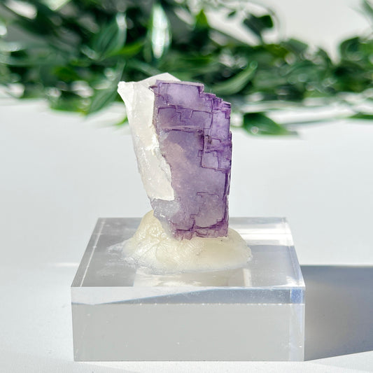 Fluorite - Yaogangxian Mine Y3