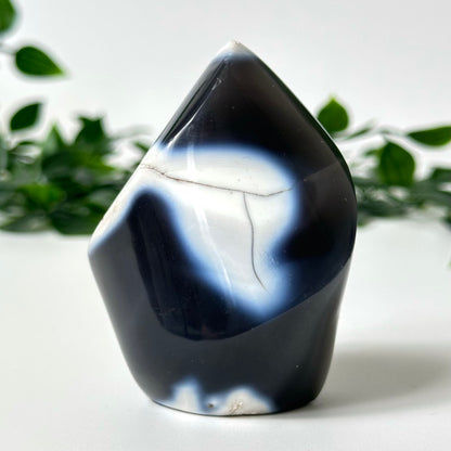 Orca Agate Flame #19