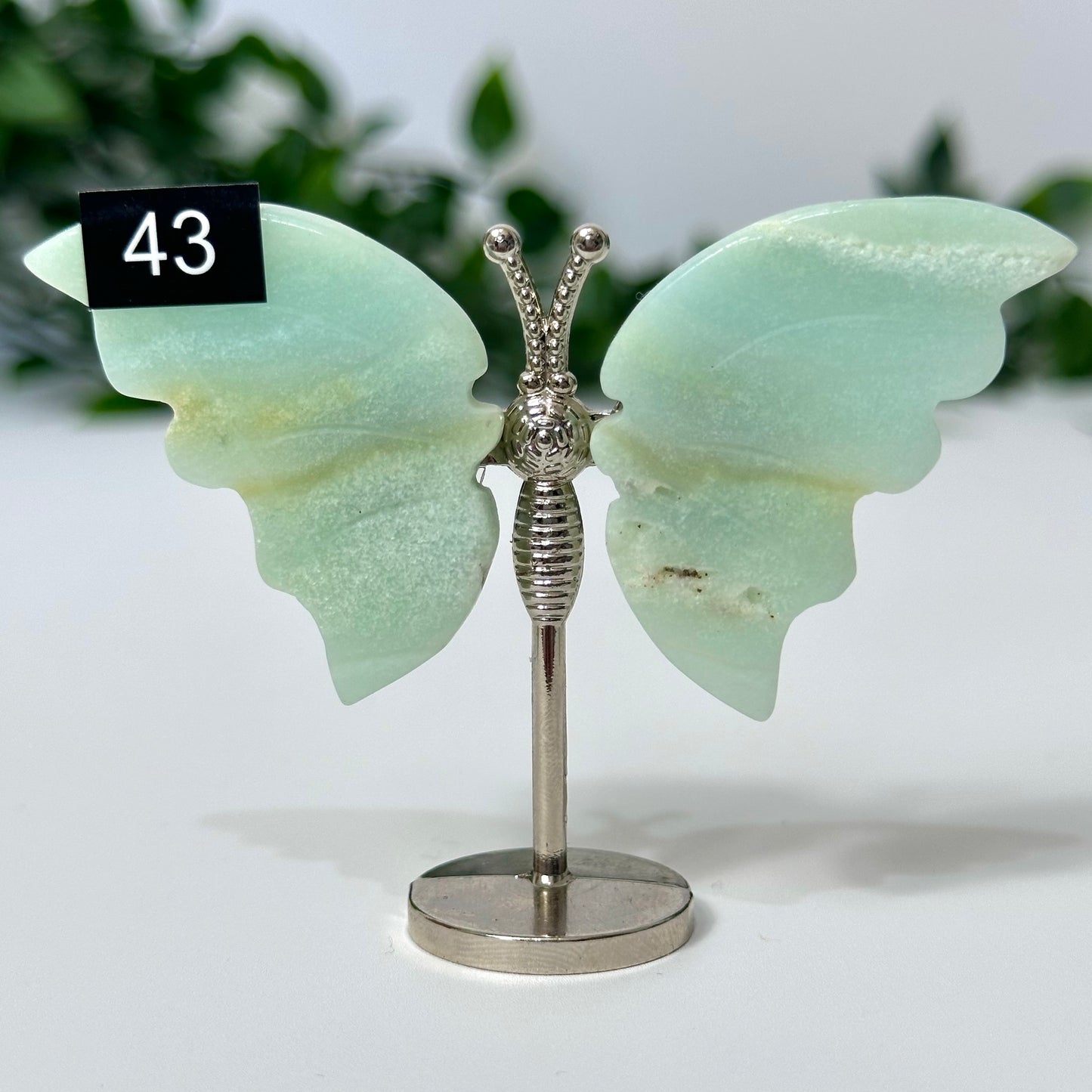 Caribbean Calcite Mini Butterfly Wings #43