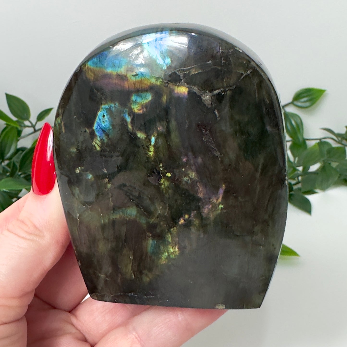 High Quality Labradorite Freeform #74