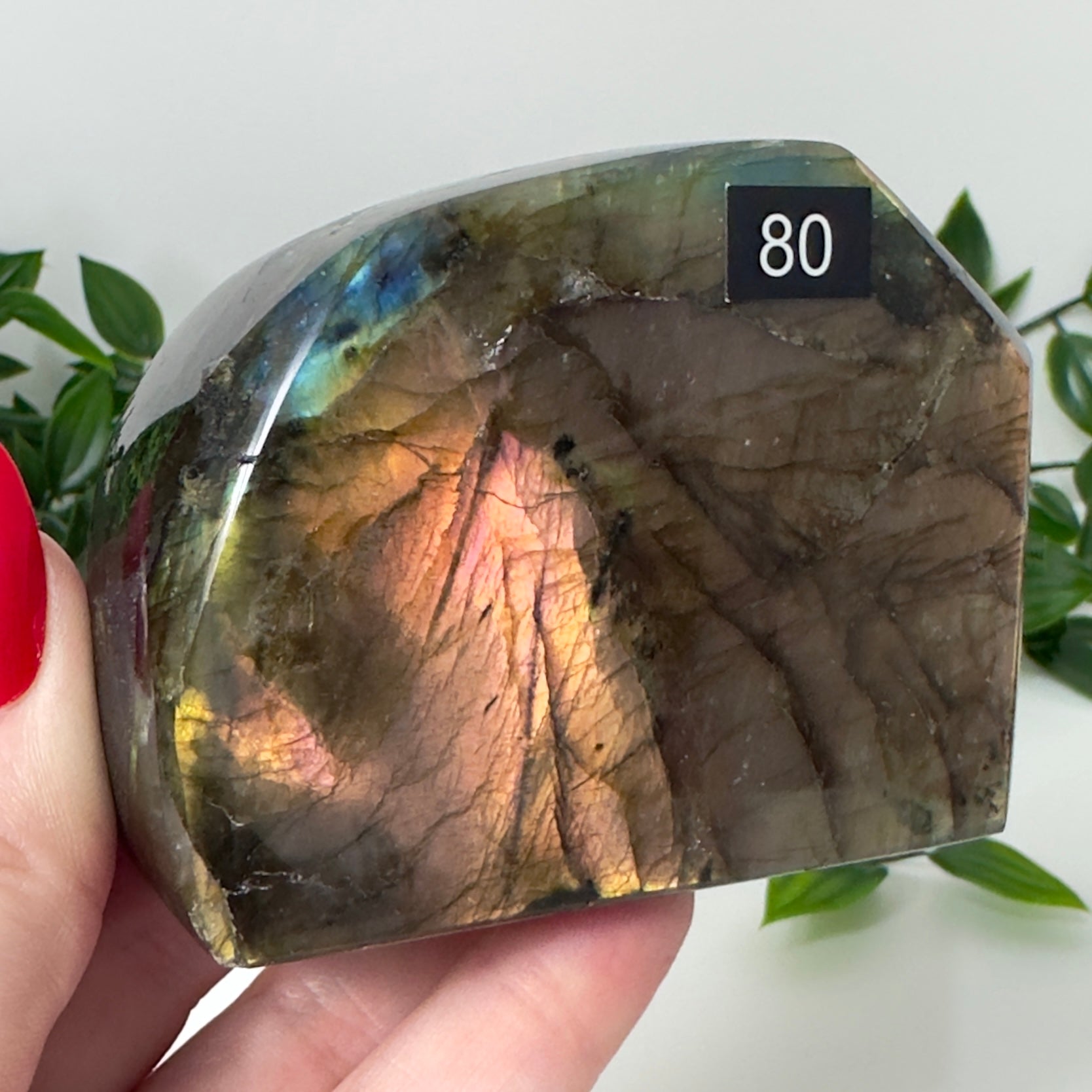 High Quality Labradorite Freeform #80